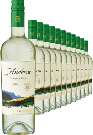 2022 Rothschild Anderra Sauvignon Blanc im 12er-Vorratspaket