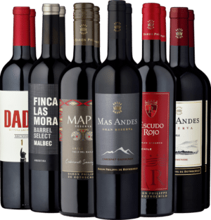 12er-Probierpaket »Südamerikas Rotweinjuwelen«