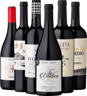 6er-Probierpaket »Spaniens Weinwelt«
