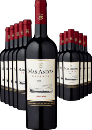 6+6-PAKET Rothschild Mas Andes Reserva Carménère 2021