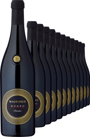 2021 Magnifico Fuoco Primitivo im 12er-Vorratspaket