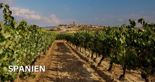 Wein Spanien